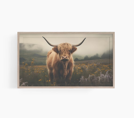 Highland Cow Farmhouse Art Print