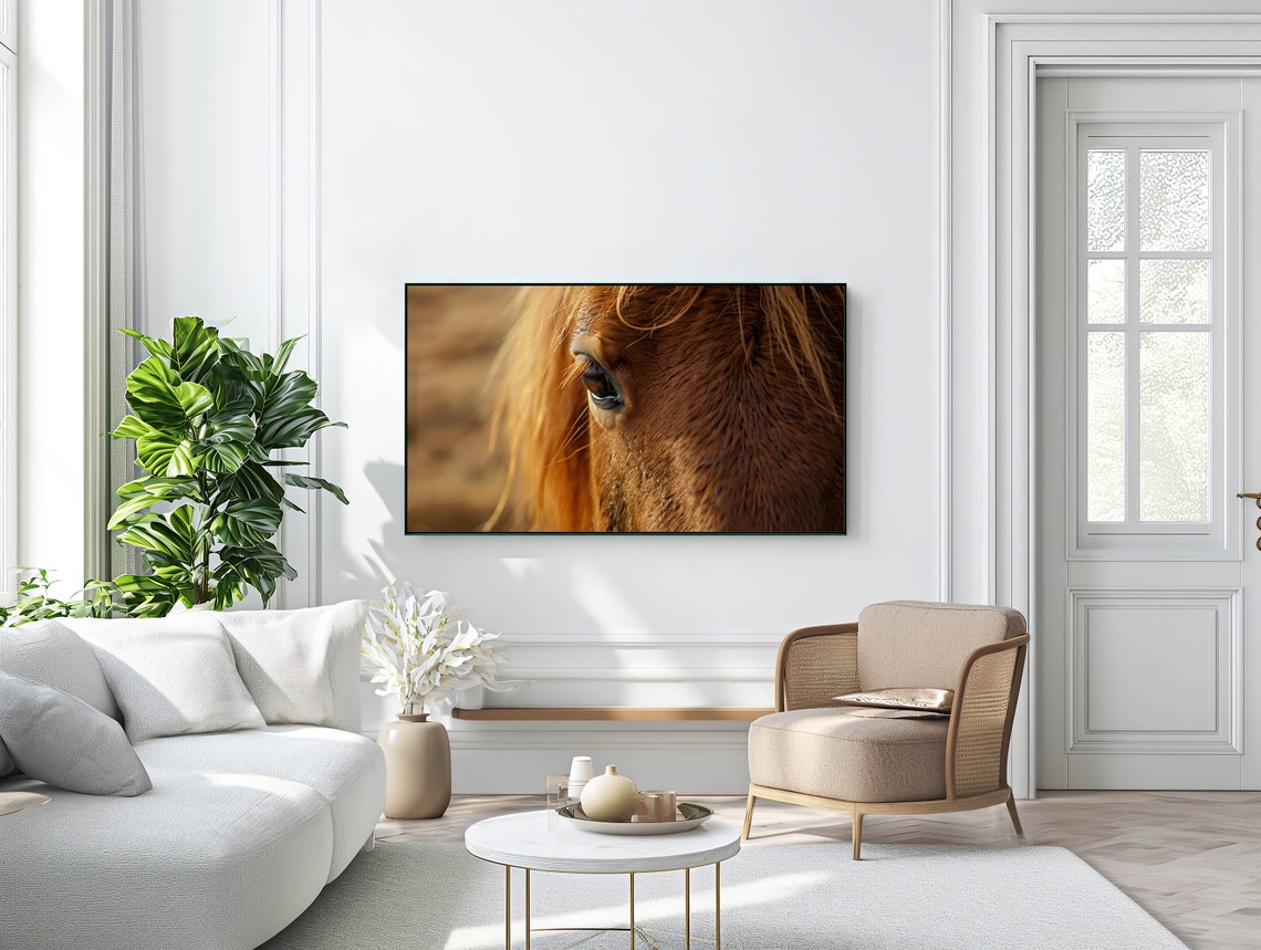 Chestnut Horse Eye Close Up Warm Golden Equine Portrait Poster - Image 3