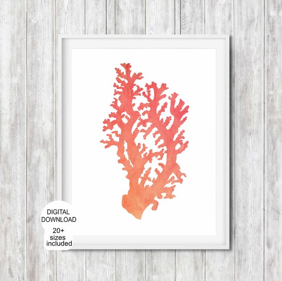 Hamptons Style Sea Coral Wall Art Nautical Theme Bathroom Bedroom Nursery Decor Beach Themed Poster Coastal Art
