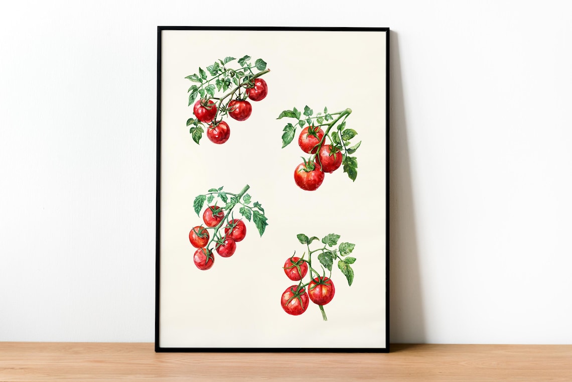 Watercolor Tomato Vine Botanical Kitchen Garden Art Print Decor