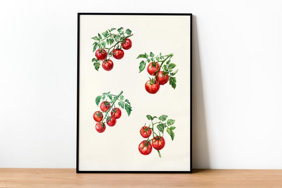 Lots Of Tomatoes Wall Art Print Tomato Bunch Poster Food Kitchen