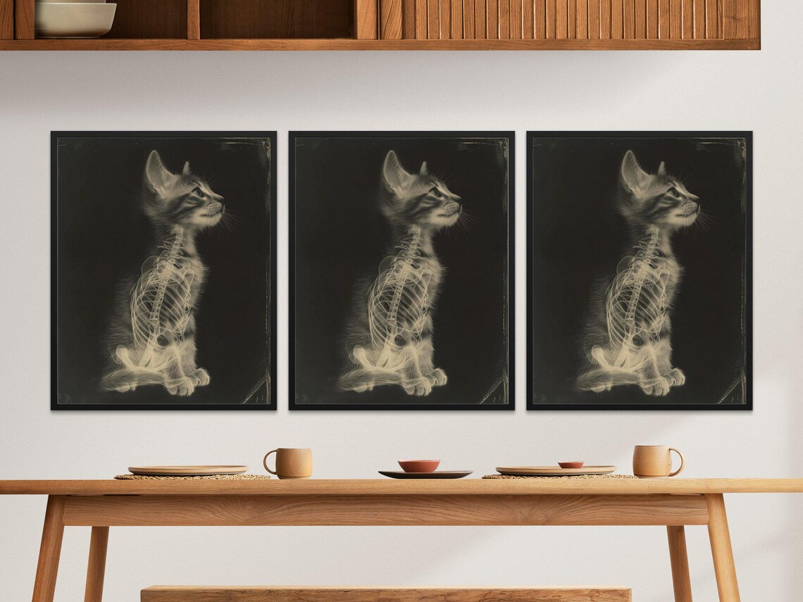 X-Ray Kitten Skeleton Whimsical Black Background Feline Anatomy Wall Art - Image 2