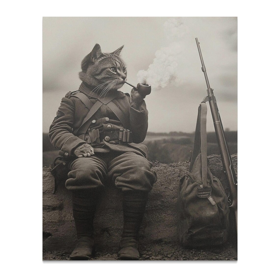 Cat Soldier In Military Uniform Smoking Pipe Vintage War Photo Poster - Image 2