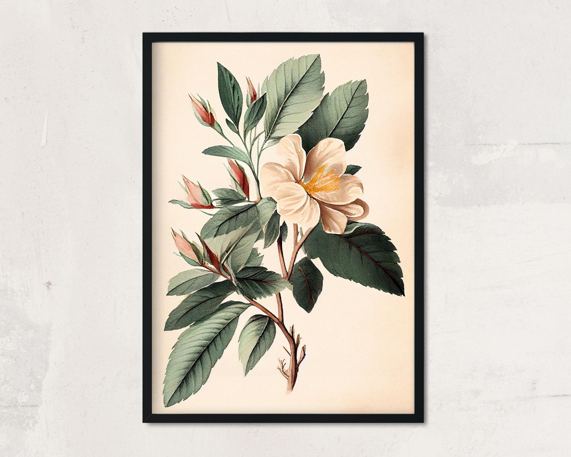 Vintage Botanical Blossom Branch Delicate Flower Buds Cream Poster - Image 3