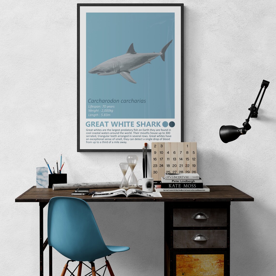 Great White Shark Fact Sheet, Nautical Theme Art Print - Image 2