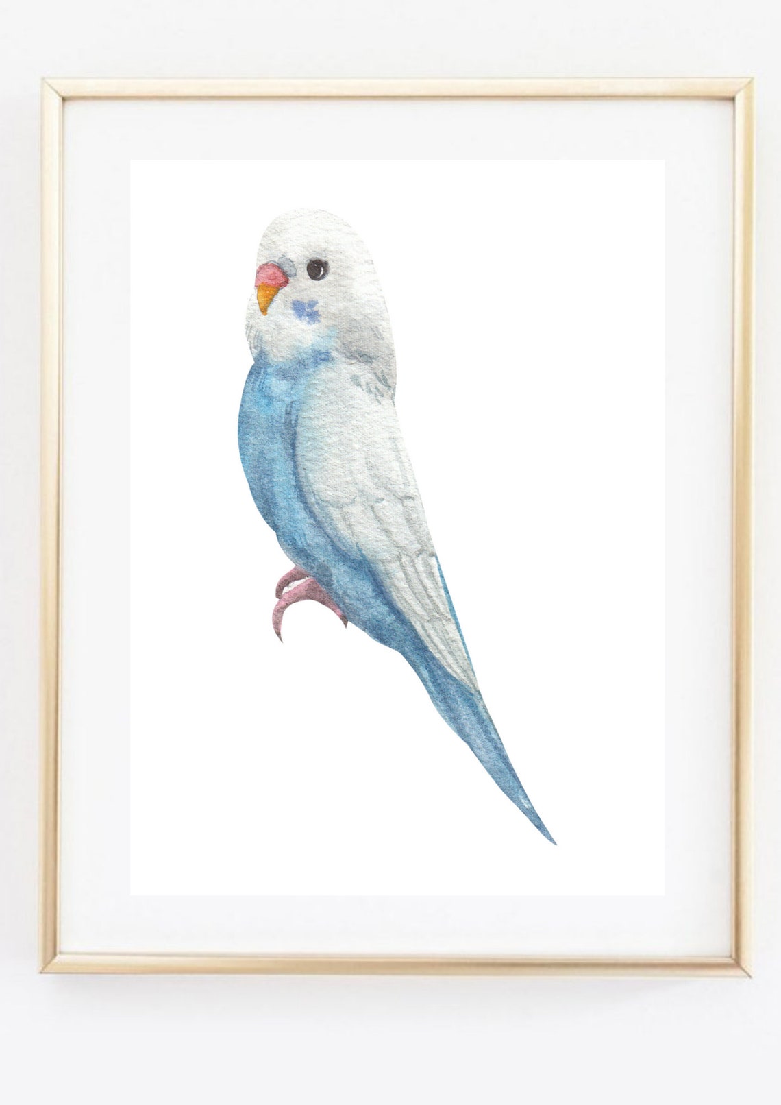 Blue and White Budgerigar Parakeet Watercolor Bird Portrait Art Poster - Image 2