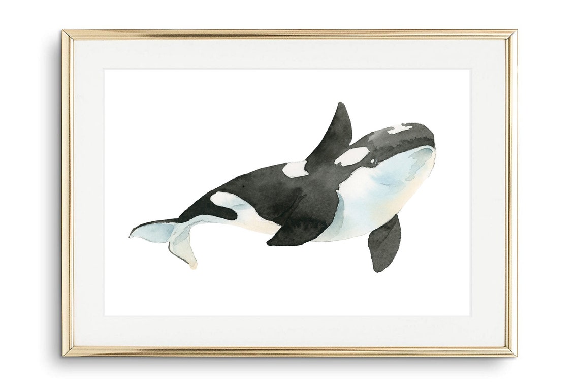 Orca Killer Whale Black White Watercolor Ocean Marine Life Wall Art - Image 2