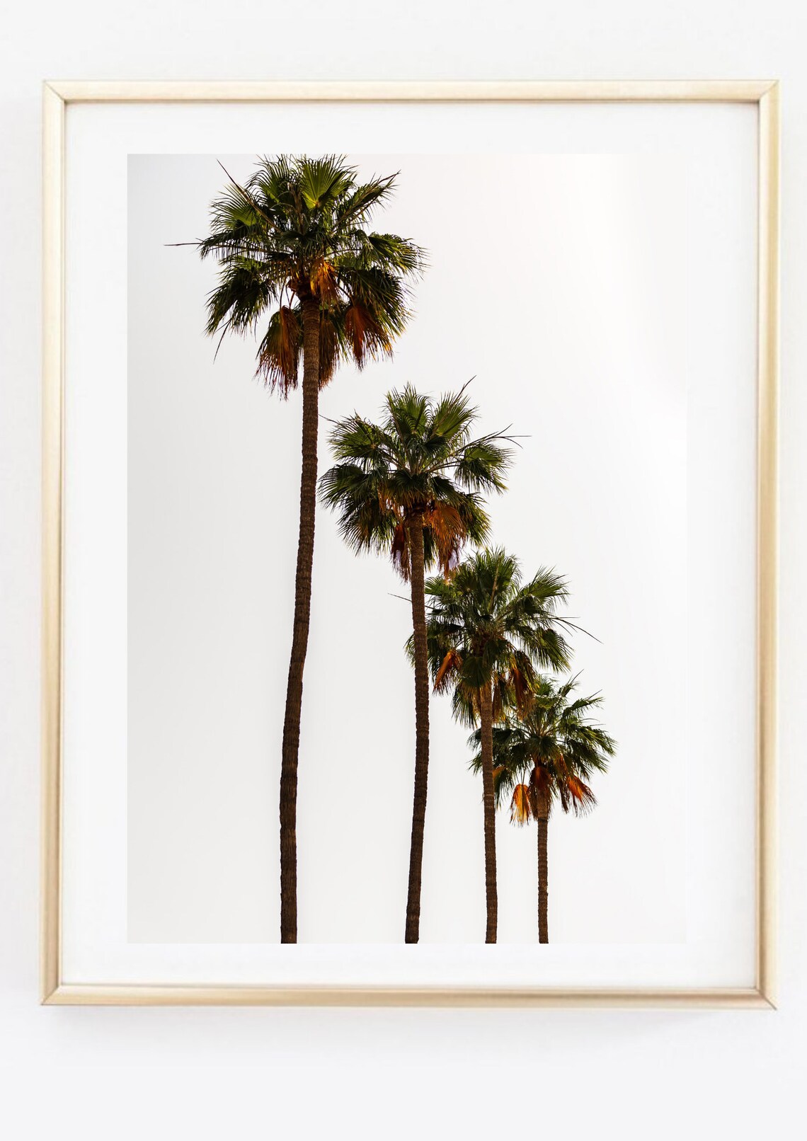 Four Tall Palm Trees Minimalist Tropical Photography Wall Art Poster - Image 2