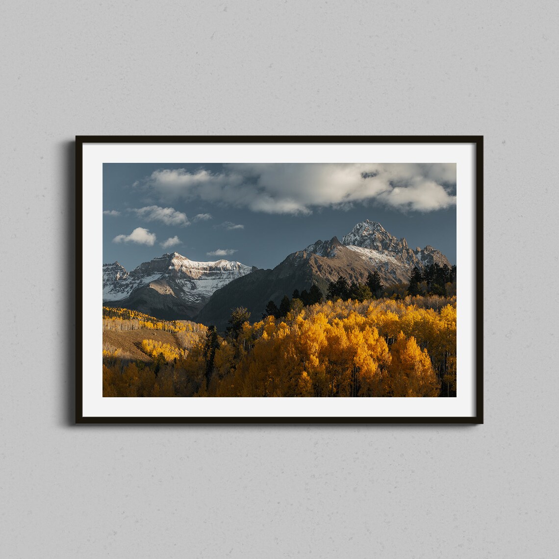 Colorado Autumn Golden Aspens Below Snowy Peaks Fine Art Photo Print
