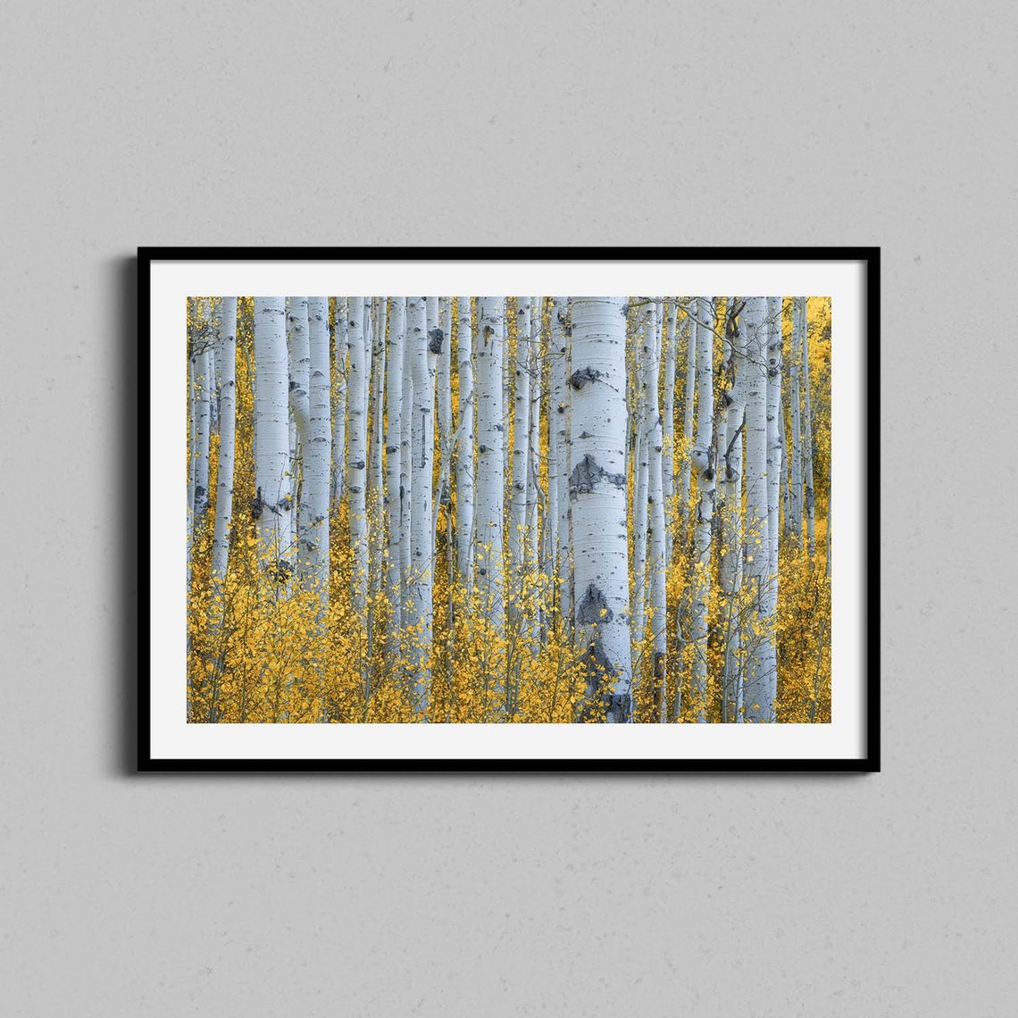 Golden Aspen Forest Autumn Photography Landscape Decor Poster