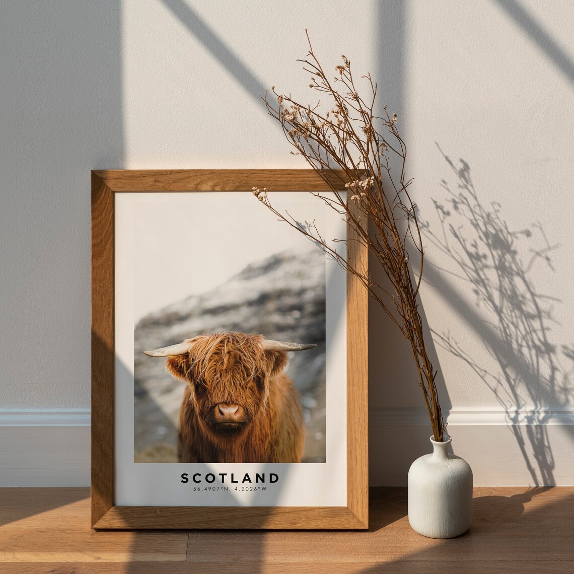 Scotland Highland Cow Cattle Portrait Travel Coordinates Photo Poster - Image 3
