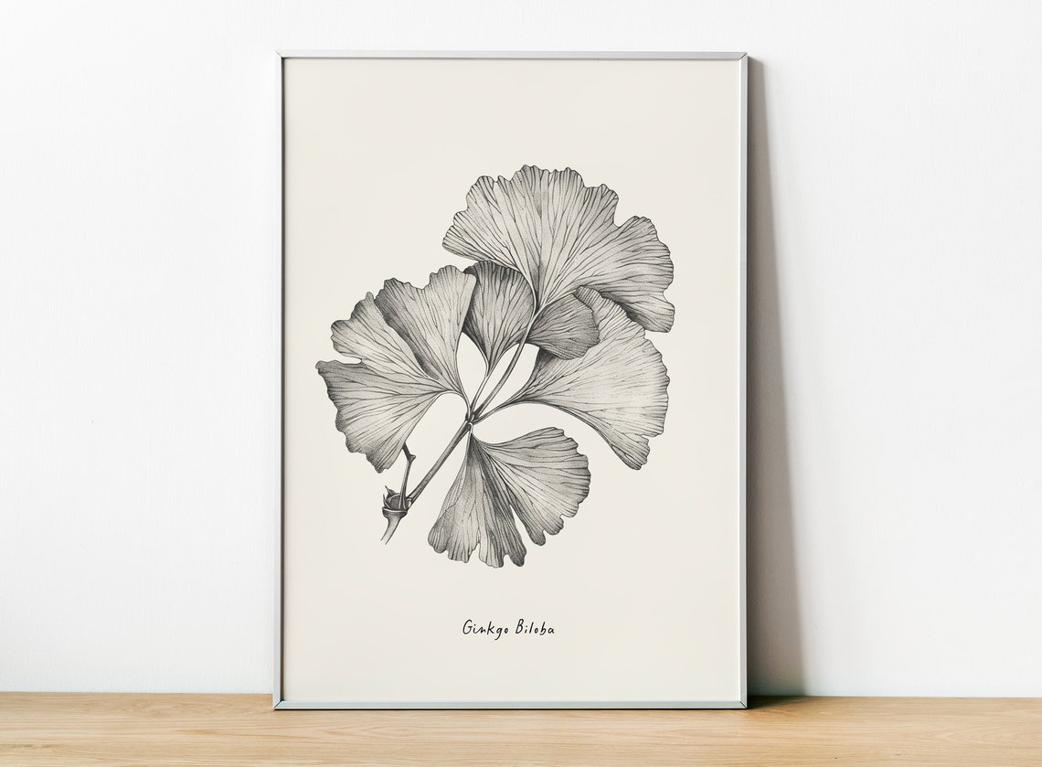Ginkgo Biloba Leaf Botanical Pencil Sketch Minimalist Wall Art Poster