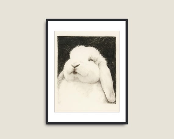 Cute Bunny Prints Antique Animal Decor Farmhouse Art Rabbit Illustration Nursery Vintage Art