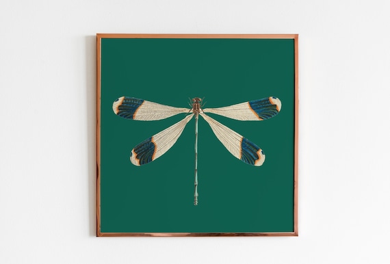 Dragonfly Emerald Green Vintage Insect Art Print