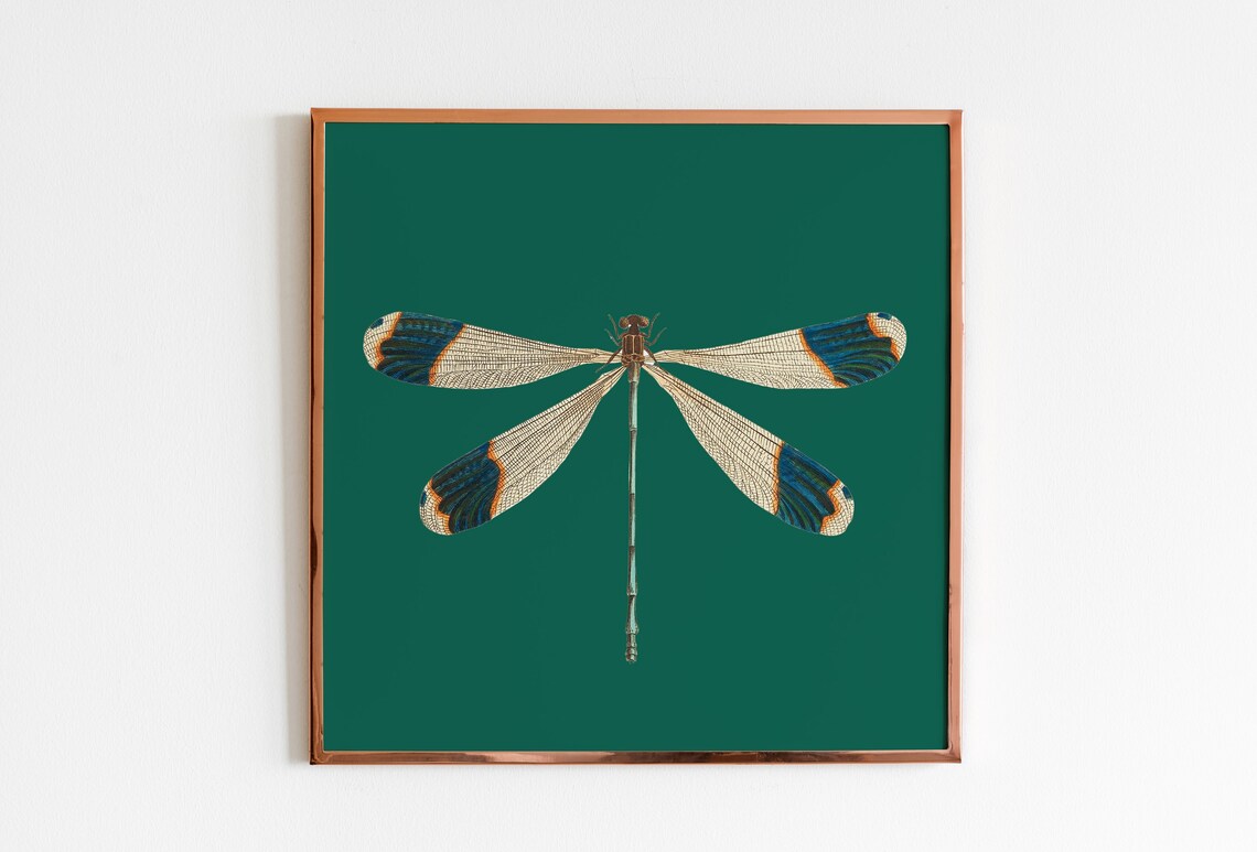 Dragonfly Emerald Green Vintage Insect Art Print