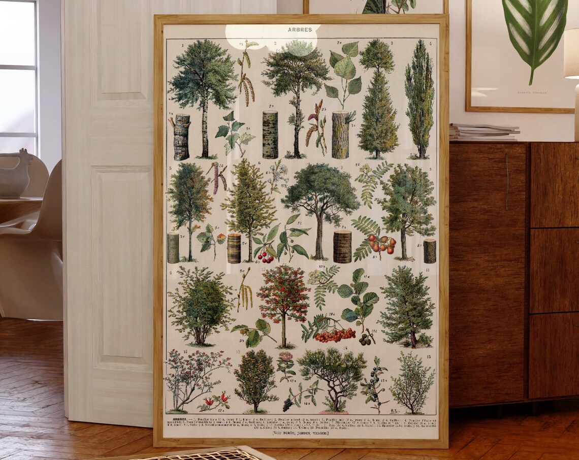 Different Trees, Vintage Botanical Poster Print