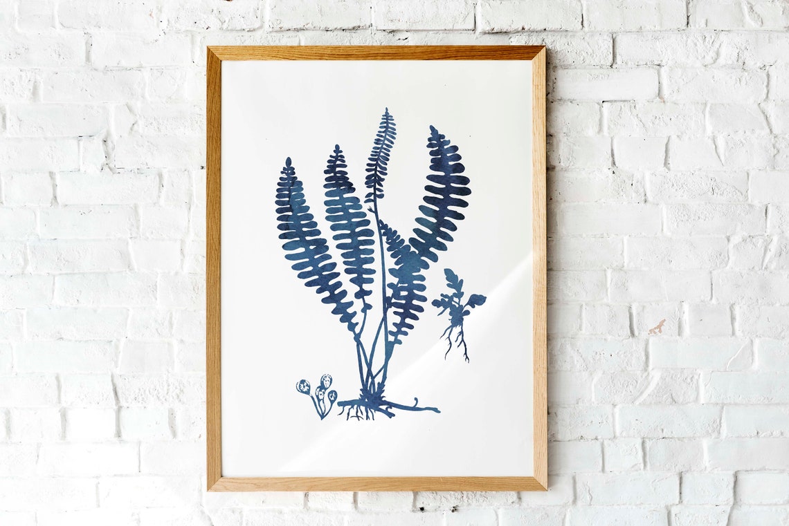 Indigo Blue Fern Cluster Roots Watercolor Botanical White Print