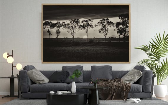 Real Photo Black And White Sunset Landscape Print Minimalist Tree Photography