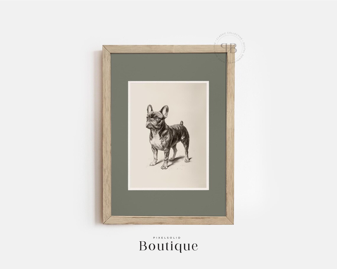 French Bulldog Antique Black And White Portrait Sketch Pet Poster