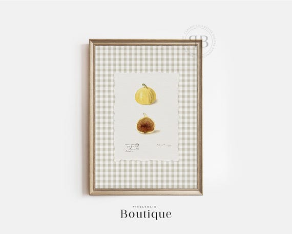 Fig Botanical Fruit Print Antique Calimyrna Illustration Rustic Farmhouse Kitchen Wall Art Vintage Style No794