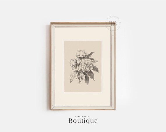 Black And White Peony Botanical Illustration Vintage Style Floral Wall Art Minimalist Home Decor No620