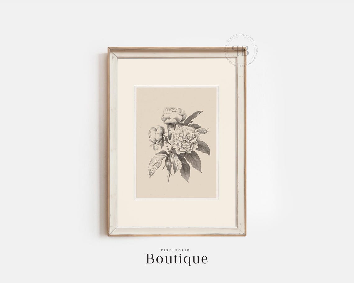 Black And White Peony Botanical Floral Illustration Fine Art Print