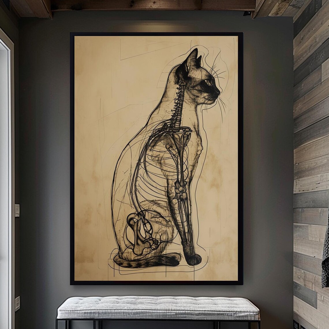 Vintage Cat Anatomy Sketch in Old Scientific Study Style Poster