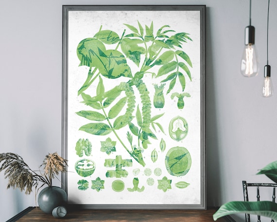 Vintage Flowers Chart Plant Diagram Botanical Wall Decor Floral Pattern Print