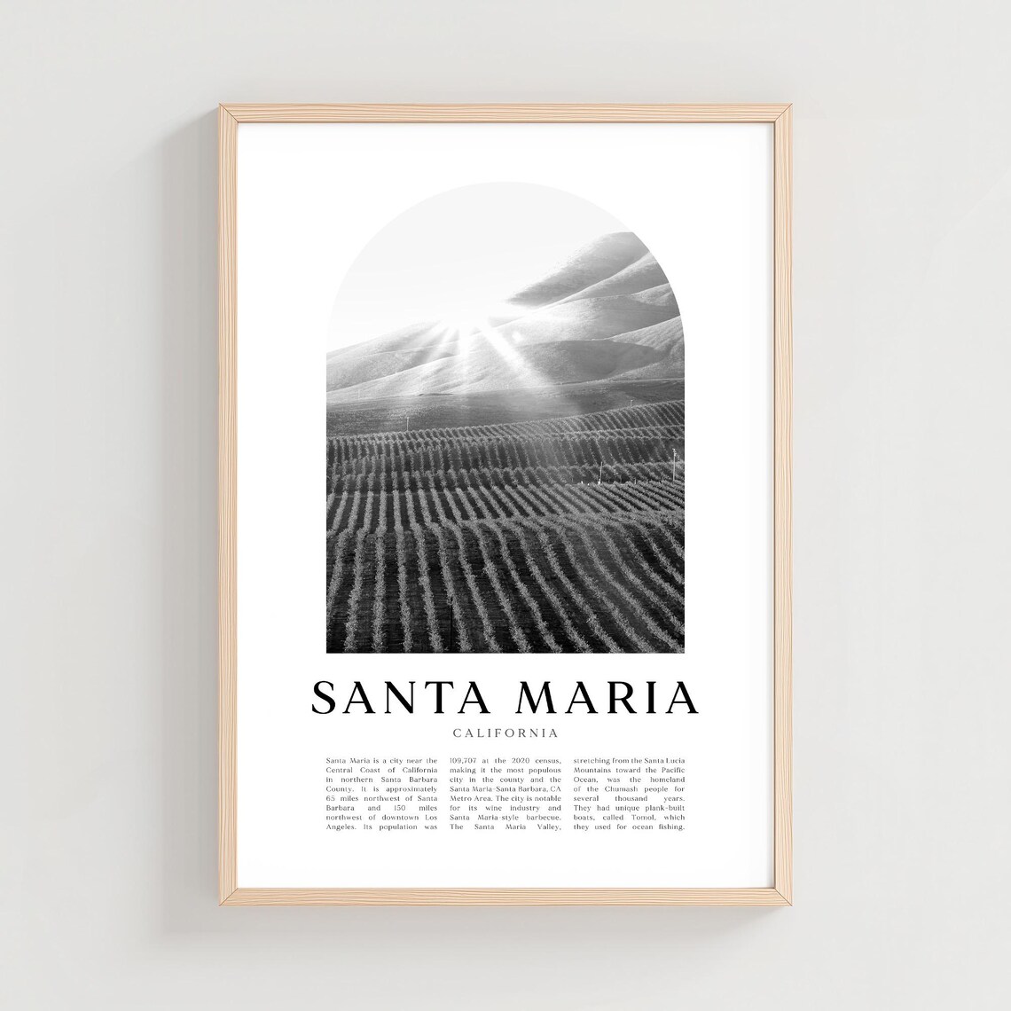 Santa Maria California Vineyard Rows Sunrise Black White Photo Poster