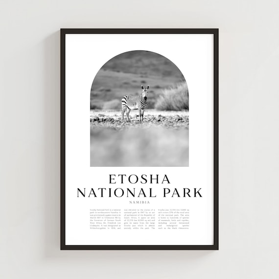Etosha National Park Namibia Zebra Black White Safari Photography Poster