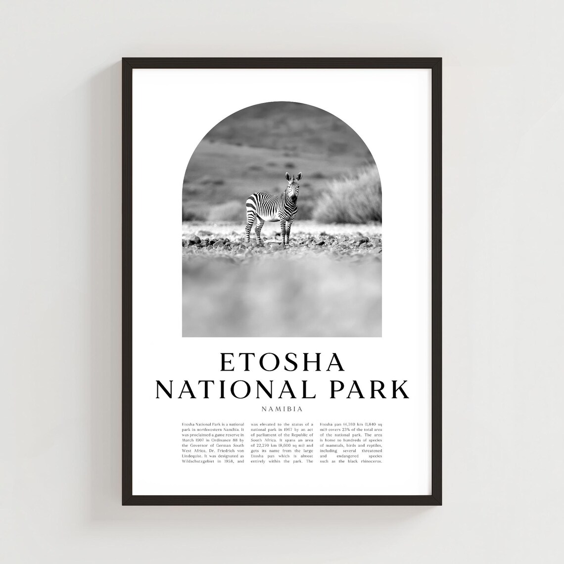 Etosha National Park Namibia Zebra Black White Safari Photography Poster