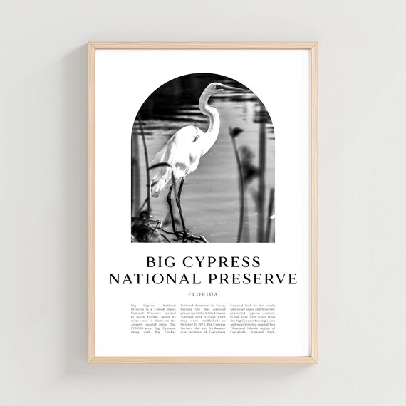 Big Cypress National Preserve Florida Egret Minimalist Photo Poster