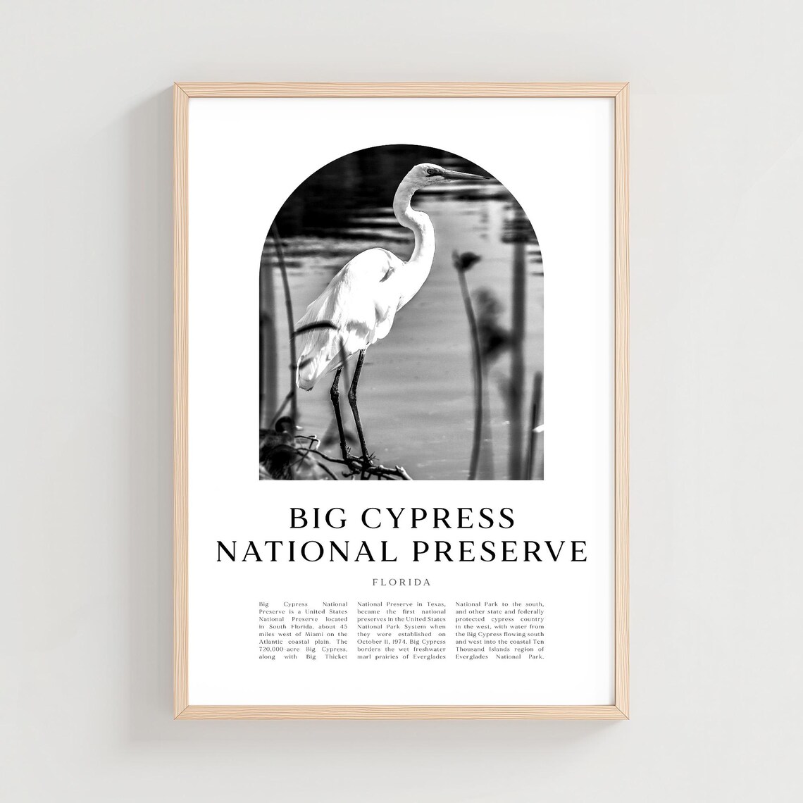 Big Cypress National Preserve Florida Egret Minimalist Photo Poster