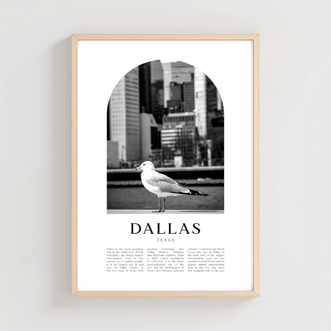 Dallas Texas Skyline Seagull Black and White Photo Art Print