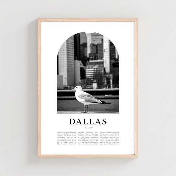 Dallas Texas Skyline Seagull Black and White Photo Art Print