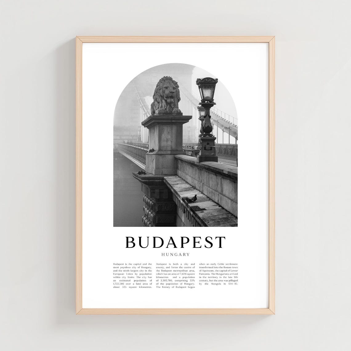 Budapest Hungary Black and White Chain Bridge Lion Photo Poster