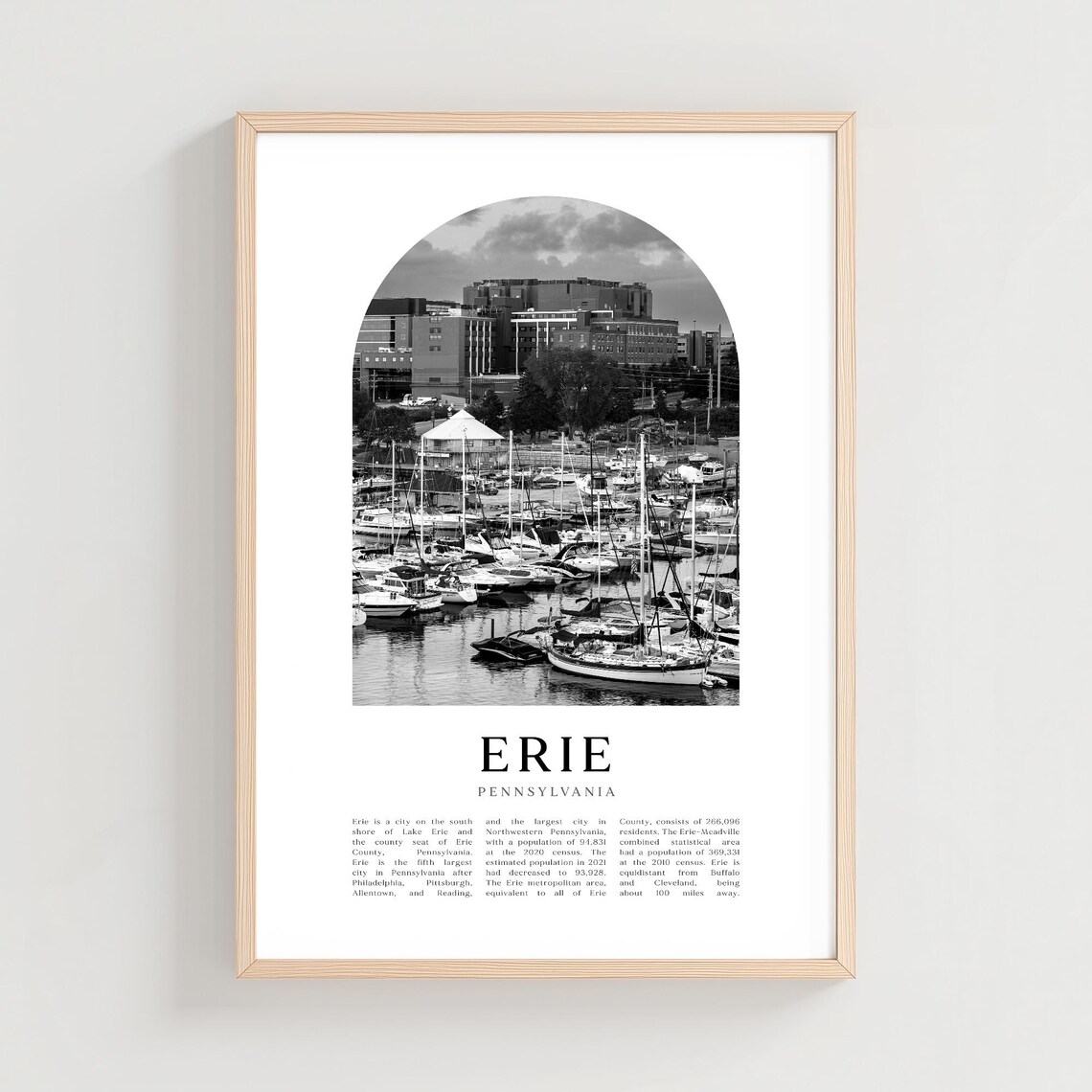 Erie Pennsylvania Black and White Harbor Marina Photo Poster