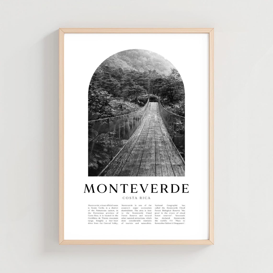 Monteverde Costa Rica Cloud Forest Hanging Bridge Photo Poster