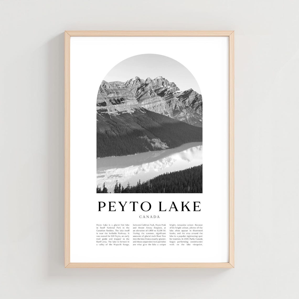 Peyto Lake Canada Mountain Black and White Photography Poster