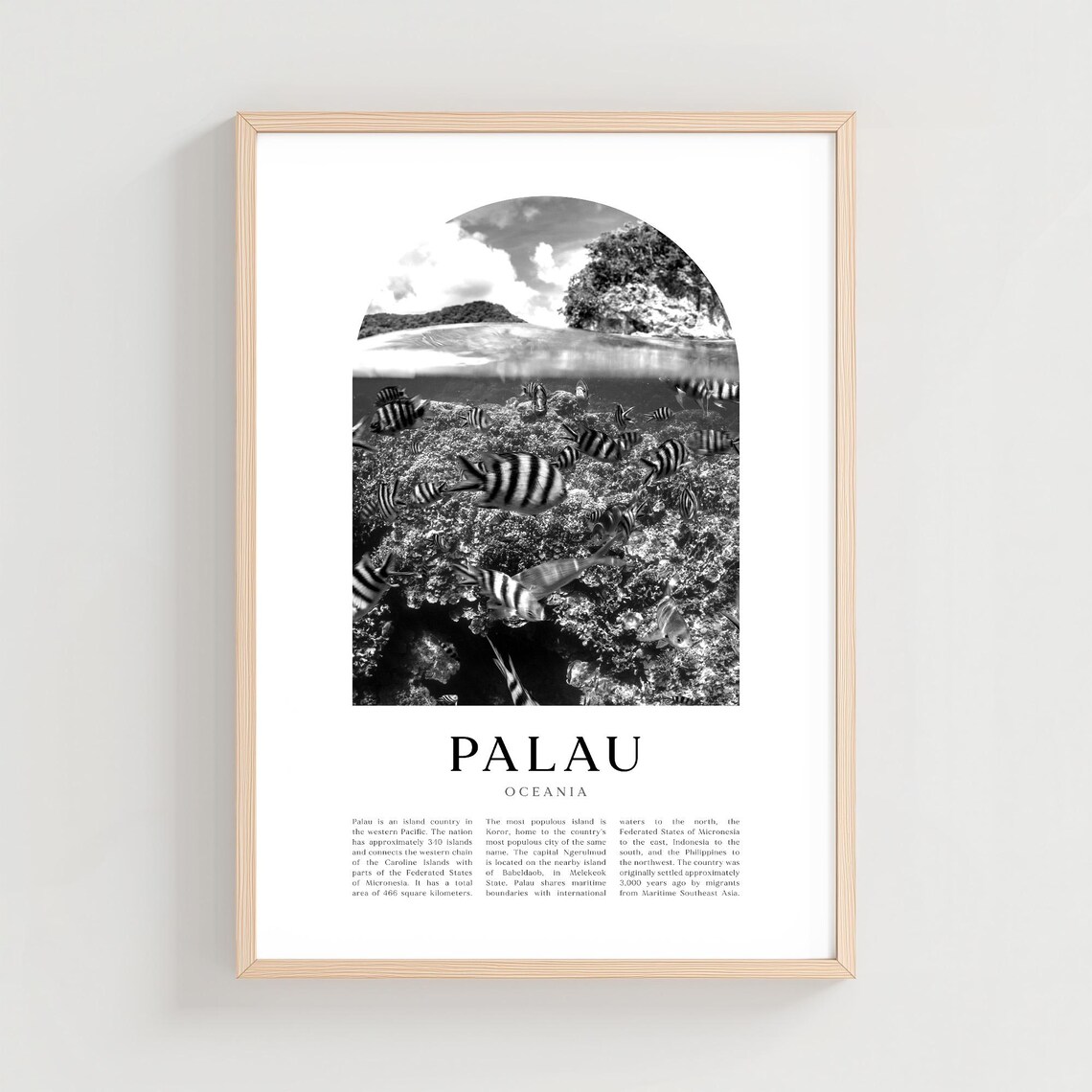 Palau Coral Reef School of Fish Black and White Travel Poster