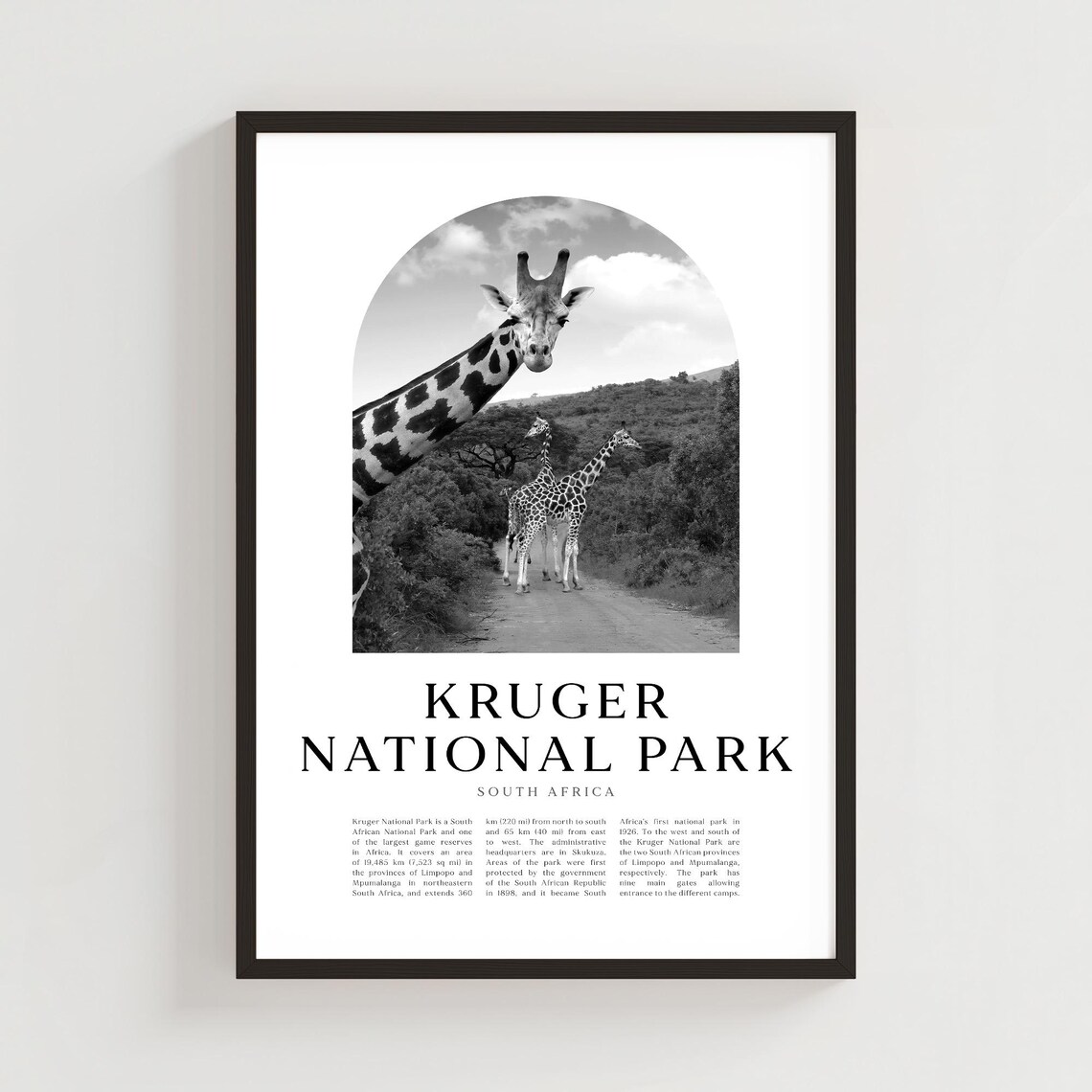 Kruger National Park South Africa Travel Poster