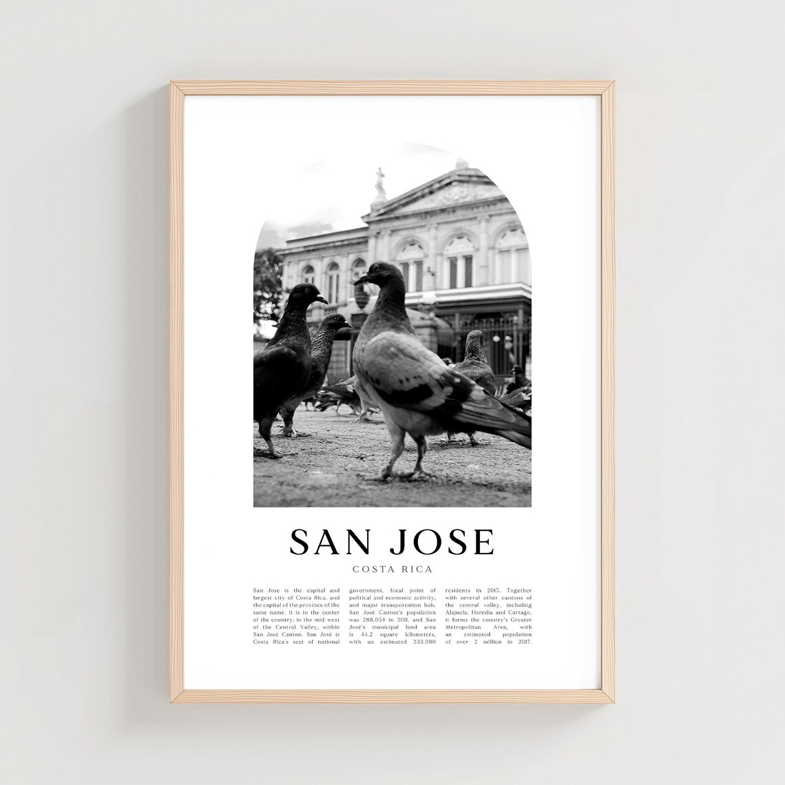 San Jose Costa Rica Pigeons Plaza Black and White Travel Poster