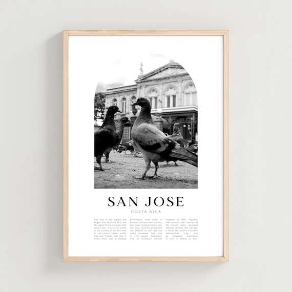 San Jose Costa Rica Pigeons Plaza Black and White Travel Poster