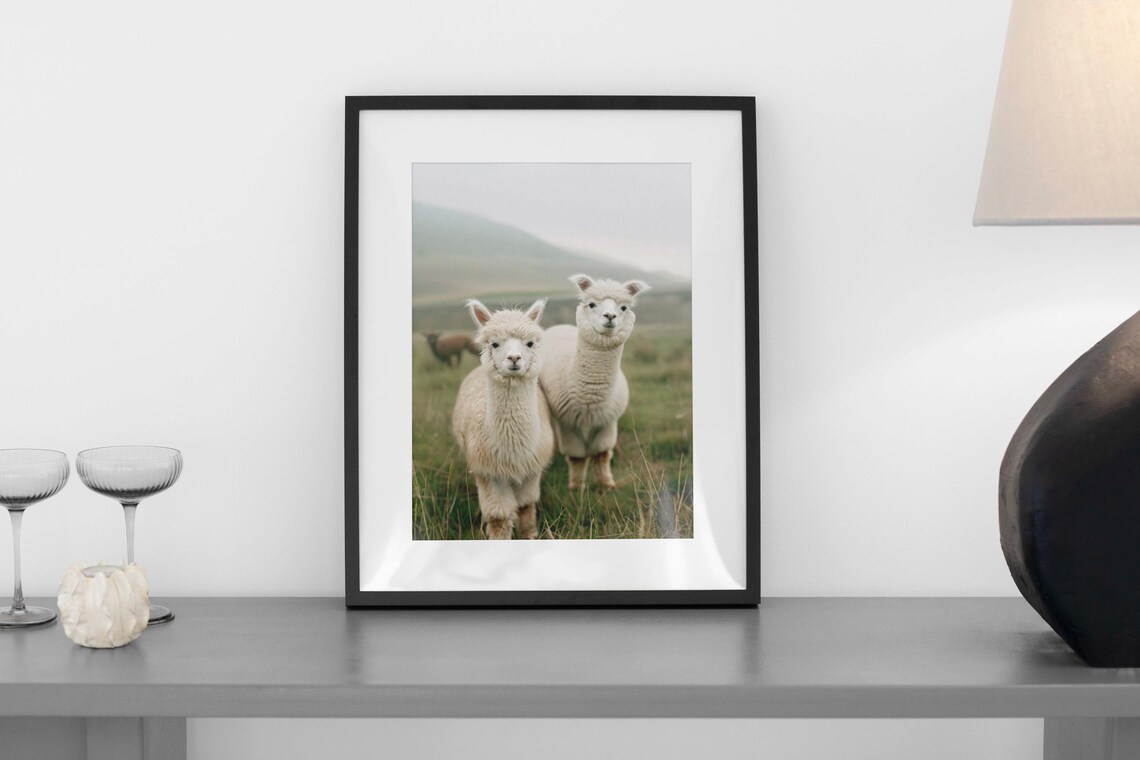 White Alpacas in a Misty Morning Meadow Vintage Style Art Poster - Image 4