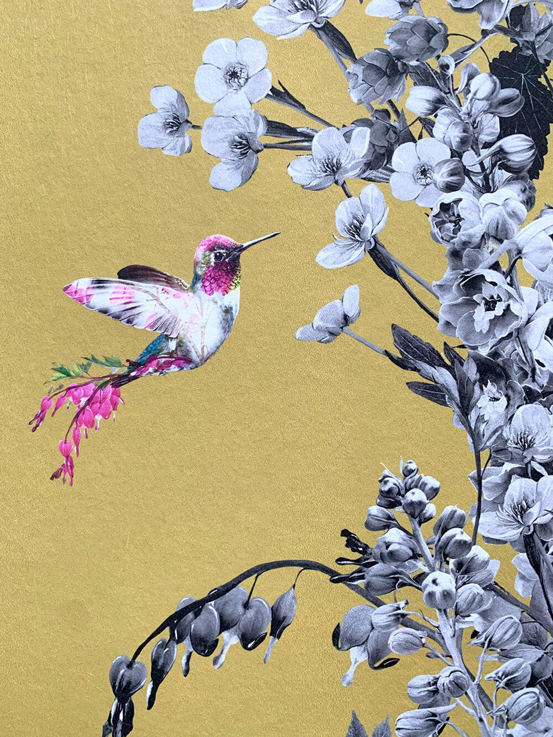 Hummingbird Wallpaper Sample