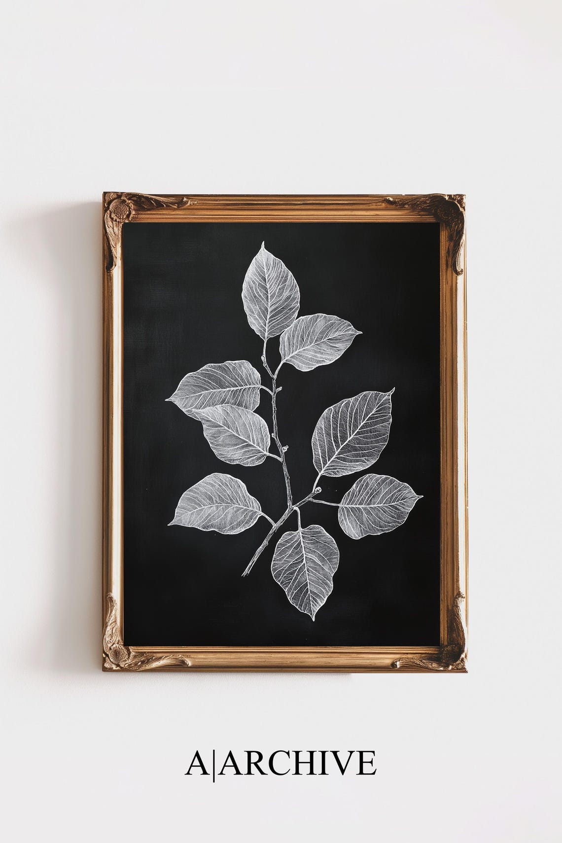 Silver Leaf Branch Sketch Black Background Botanical Line Art Poster
