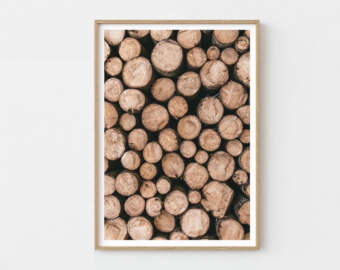 Log Pile Art Print, Rustic Tree Ring Poster