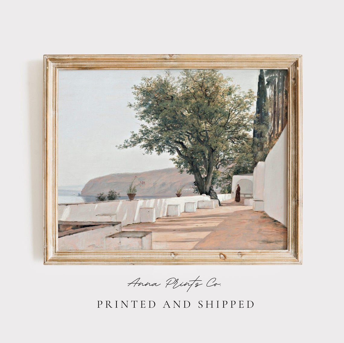 Italian Coastal Terrace With Olive Tree And Sea Cliffs Vintage Print