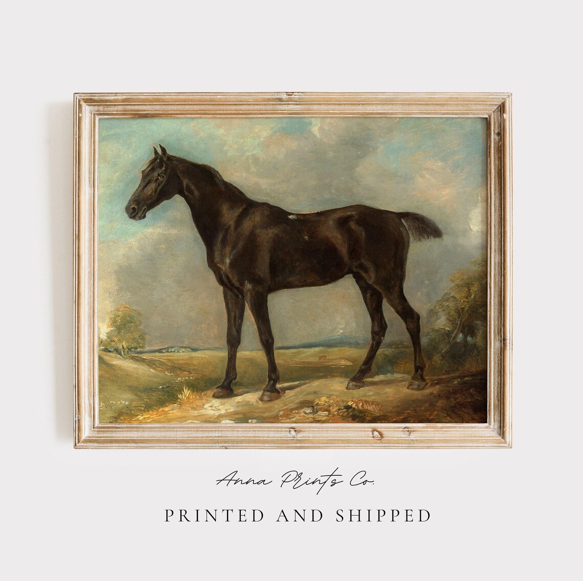 Vintage Black Riding Horse, Equestrian Art Print
