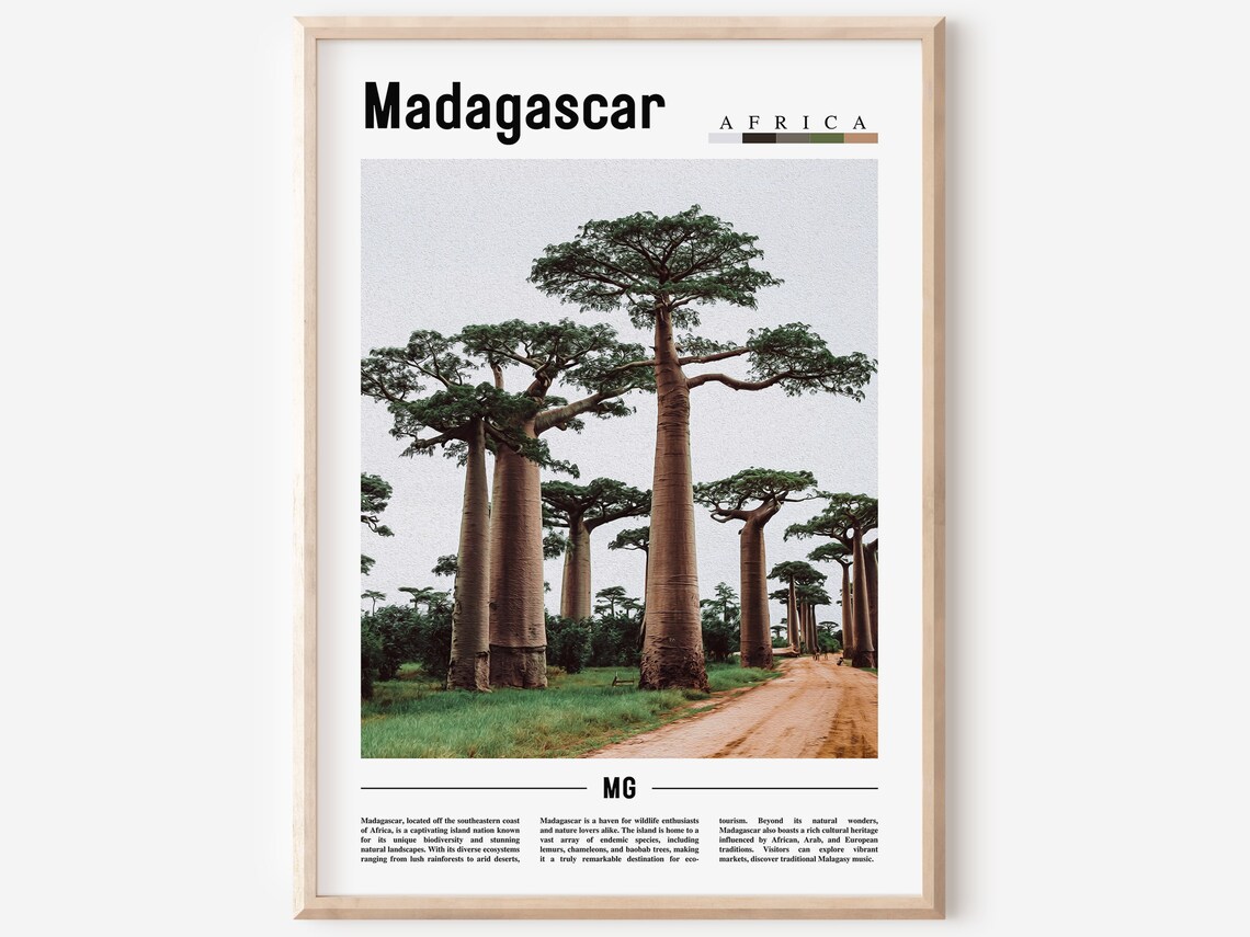 Madagascar Baobab Avenue Poster Giant Trees Dirt Road Africa Travel